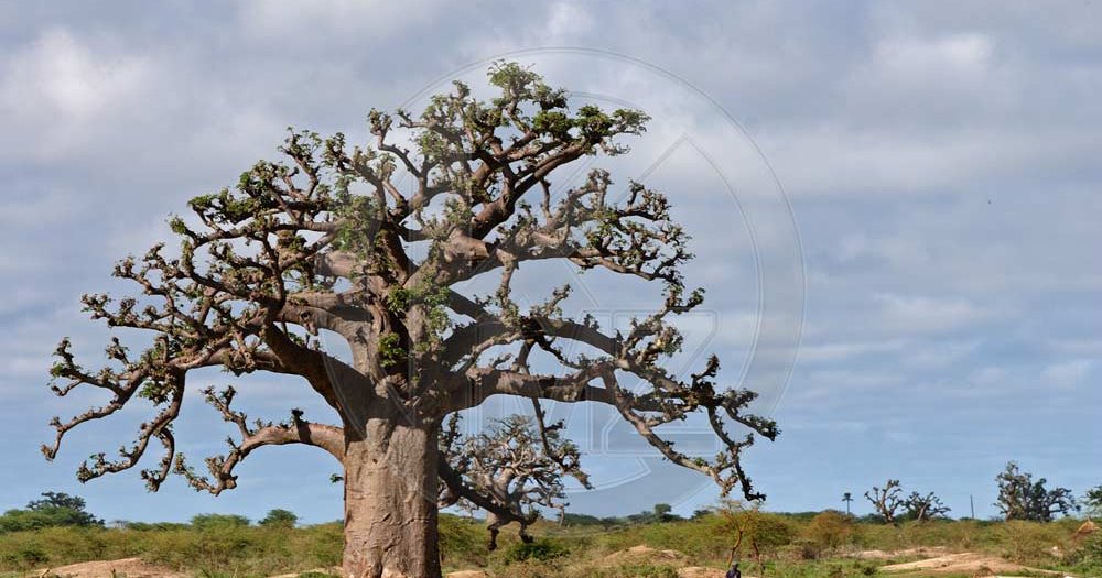 44298d0d6e7e5842050714cda1695a 18fd5